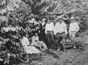 Finca de café, San José