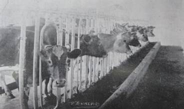 Finca de ensayos de Guadalupe