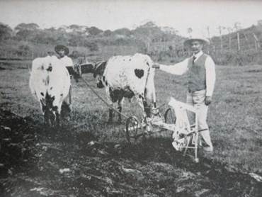 Demostración de equipo de labranza