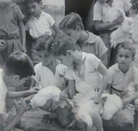 Clubes 4S prácticas de salud animal