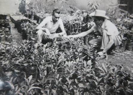 Labor de extensión agropecuaria