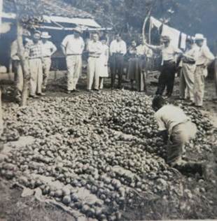 Extensión agropecuaria