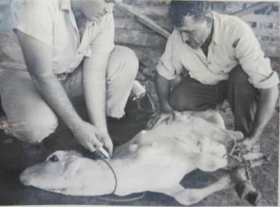 Servicio de médicos veterinarios