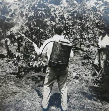 Aplicando agroquímicos en café